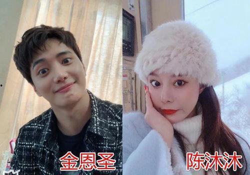 崽崽娱乐圈吃瓜小说推荐,崽崽吃瓜小说，揭秘明星幕后故事