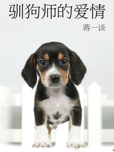 娱乐圈吃瓜小狗小说,吃瓜小狗的甜蜜复仇之旅